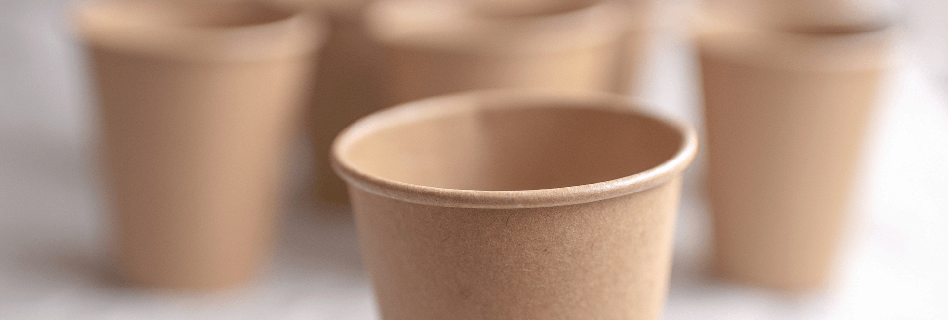 Sous-catégorie - La vaisselle à usage unique